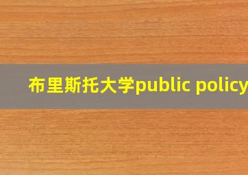 布里斯托大学public policy